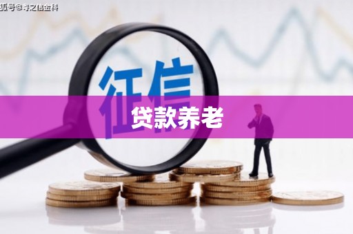 西屯贷款养老