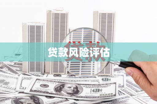 西屯贷款风险评估