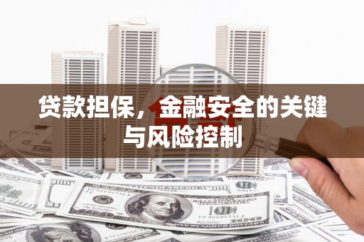 西屯贷款担保，金融安全的关键与风险控制