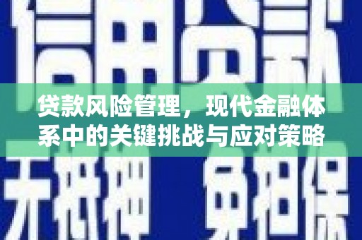西屯贷款风险管理，现代金融体系中的关键挑战与应对策略